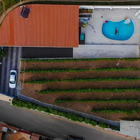 Casinha Das Bonecas - Casa Com Piscina Privada Aveiro Eksteriør bilde
