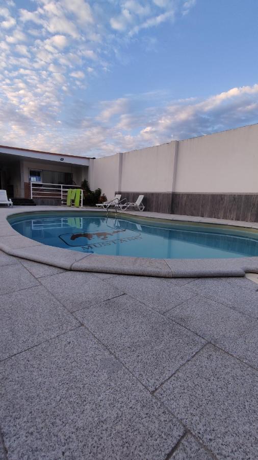 Casinha Das Bonecas - Casa Com Piscina Privada Aveiro Eksteriør bilde